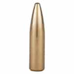 300 AAC 220gr (.308) Blackout Spire Point