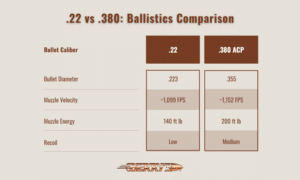 Infographic breaks down .22 vs .380 ballistics.