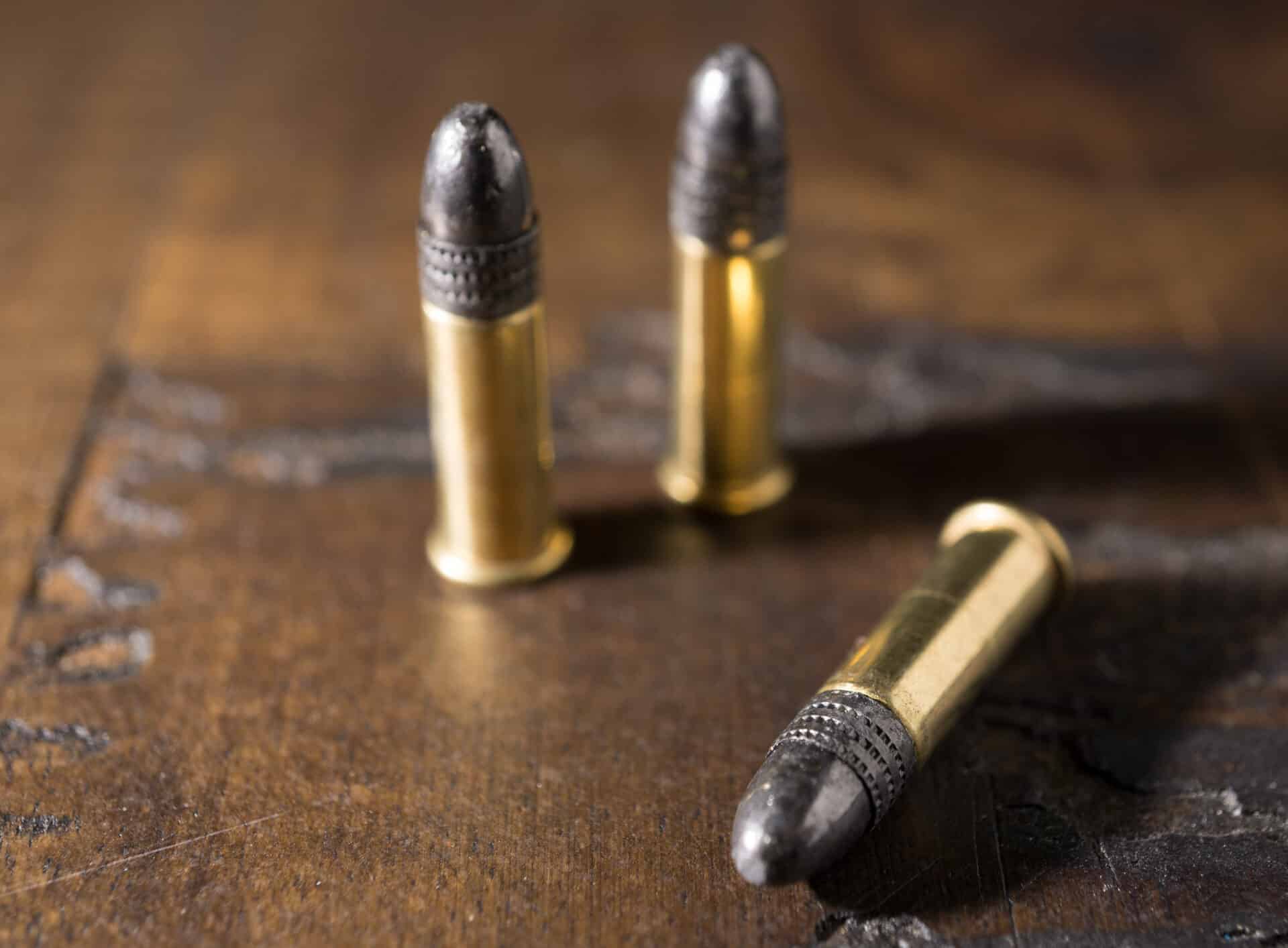 .22 vs .380: Caliber Comparison