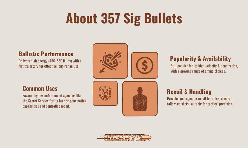 Infographic overviews 357 Sig bullets